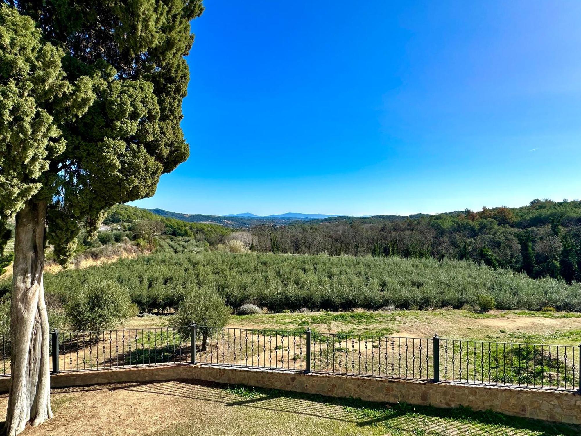 Masia Can Viver - Olive Oil Tourism B&B Bigues I Riells Exterior photo